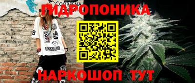 мдпв Жуковский
