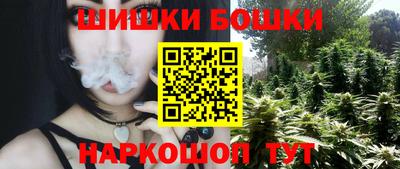 мдпв Жуковский