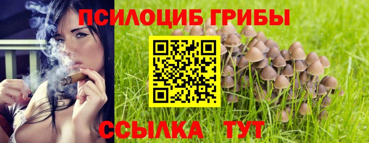 Псилоцибиновые грибы MAGIC MUSHROOMS  Вход с VPN  Кунгур 