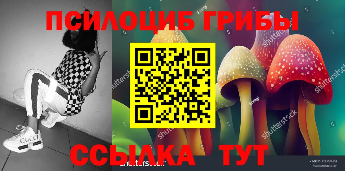 Псилоцибиновые грибы Psilocybine cubensis Кунгур